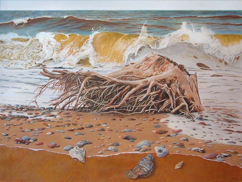 Covehithe Erosion Zone